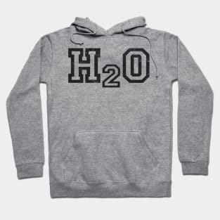 Vintage H2o Band Hoodie